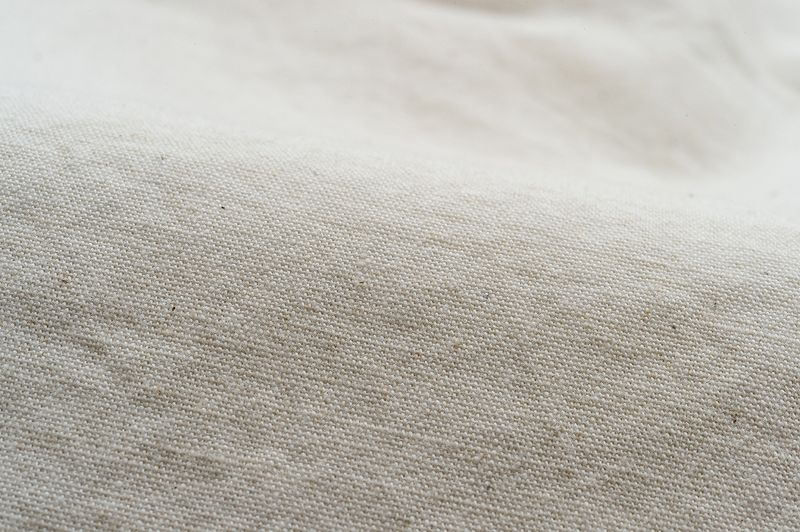 SGS2301 / The Strike Gold Selvedge Chambray Work Shirt