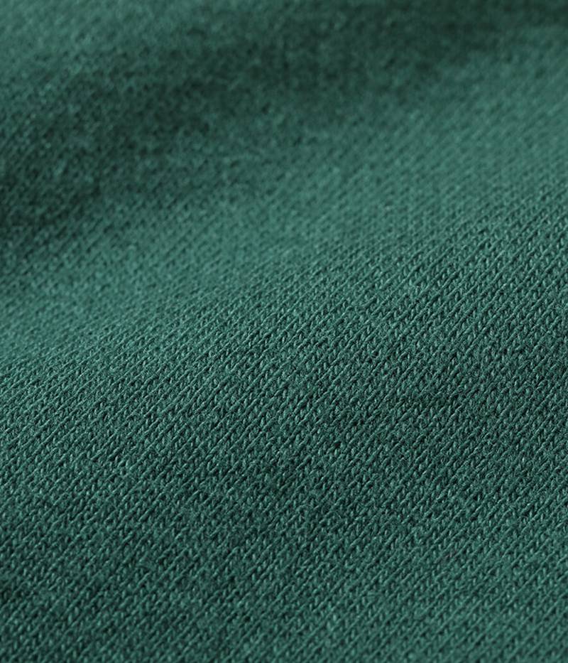 WV67728 / WHITESVILLE HEAVY SWEAT SHIRT