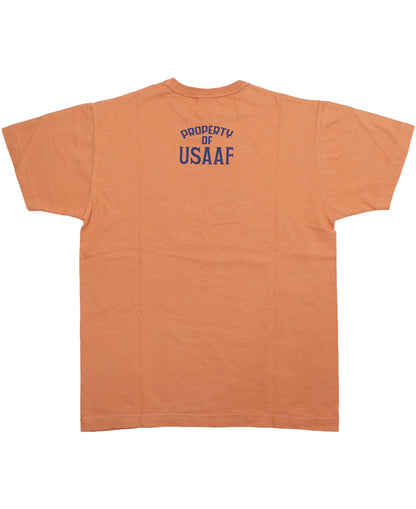 BR79774 / BUZZ RICKSON'S S/S MILITARY TEE " SANTA ANA "